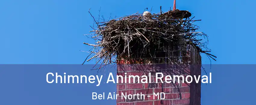 Chimney Animal Removal Bel Air North - MD