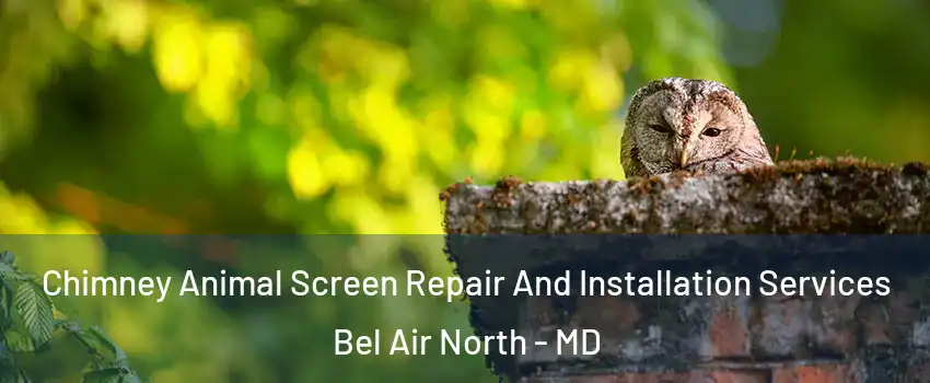  Chimney Animal Screen Repair And Installation Services Bel Air North - MD
