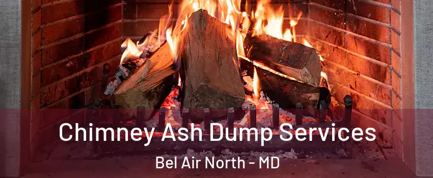  Chimney Ash Dump Services Bel Air North - MD