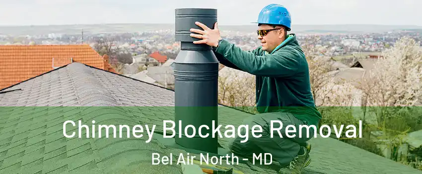  Chimney Blockage Removal Bel Air North - MD