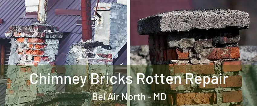  Chimney Bricks Rotten Repair Bel Air North - MD