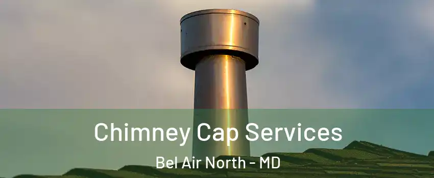  Chimney Cap Services Bel Air North - MD