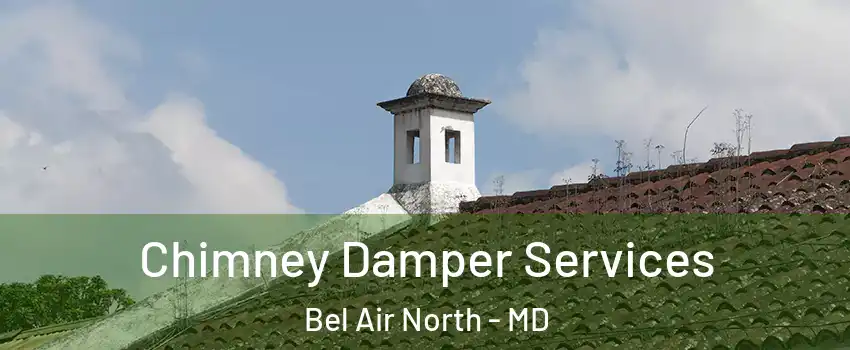  Chimney Damper Services Bel Air North - MD