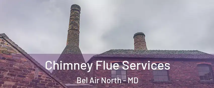  Chimney Flue Services Bel Air North - MD