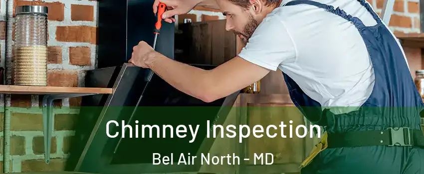  Chimney Inspection Bel Air North - MD