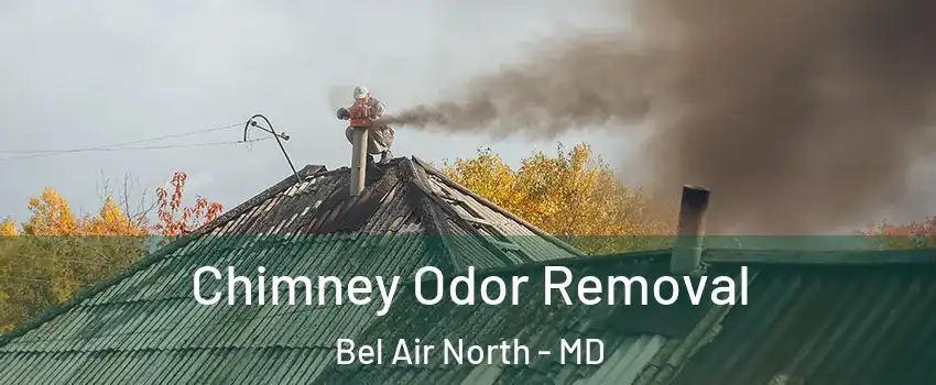  Chimney Odor Removal Bel Air North - MD