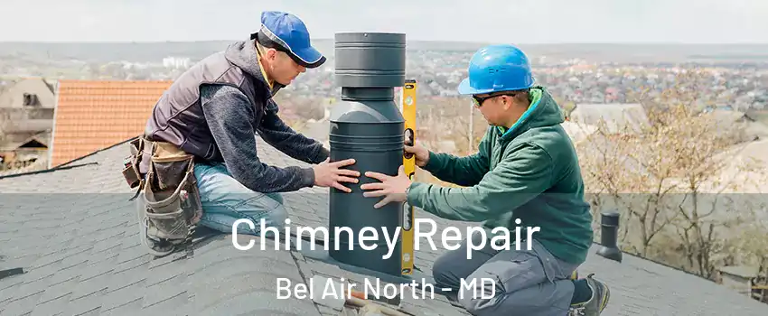  Chimney Repair Bel Air North - MD