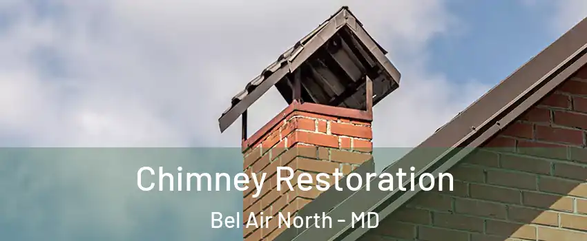  Chimney Restoration Bel Air North - MD