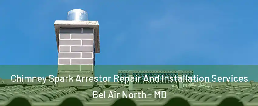  Chimney Spark Arrestor Repair And Installation Services Bel Air North - MD
