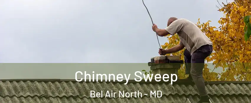  Chimney Sweep Bel Air North - MD