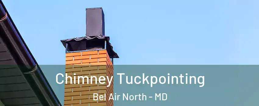  Chimney Tuckpointing Bel Air North - MD