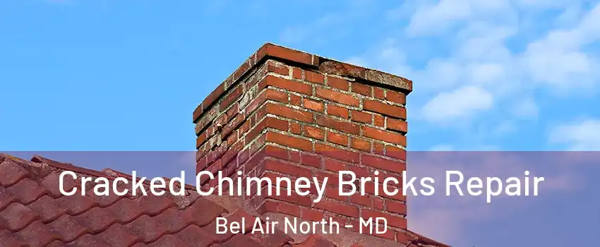  Cracked Chimney Bricks Repair Bel Air North - MD