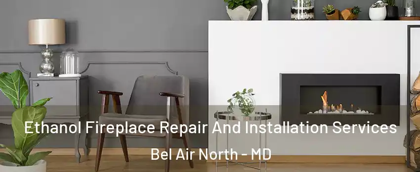  Ethanol Fireplace Repair And Installation Services Bel Air North - MD