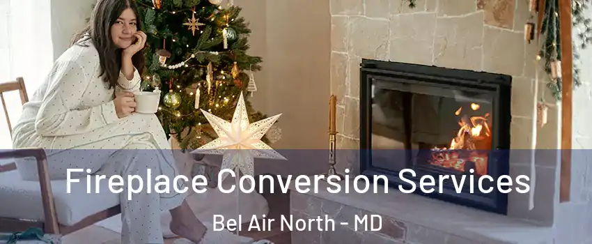  Fireplace Conversion Services Bel Air North - MD