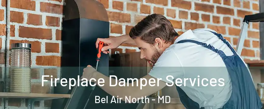  Fireplace Damper Services Bel Air North - MD