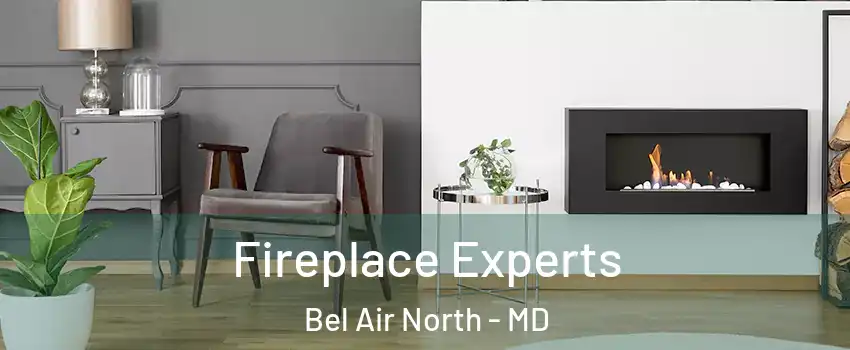  Fireplace Experts Bel Air North - MD
