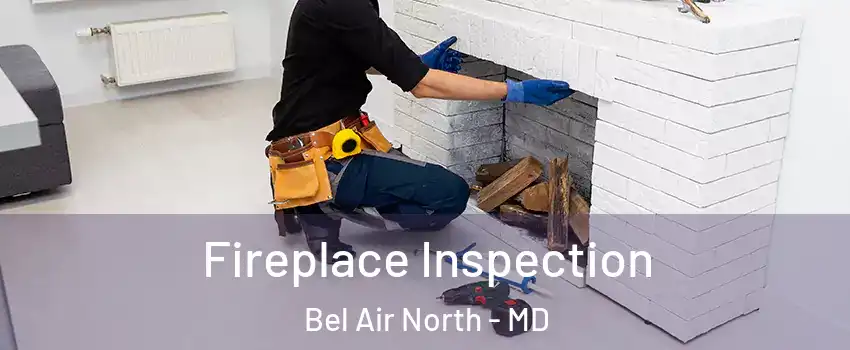  Fireplace Inspection Bel Air North - MD