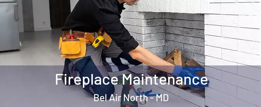  Fireplace Maintenance Bel Air North - MD