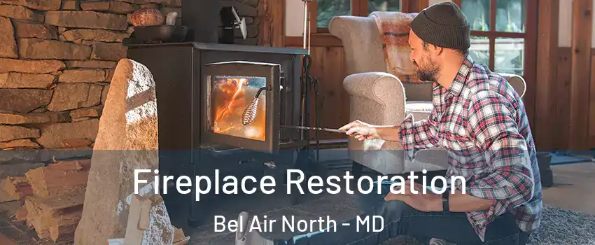  Fireplace Restoration Bel Air North - MD
