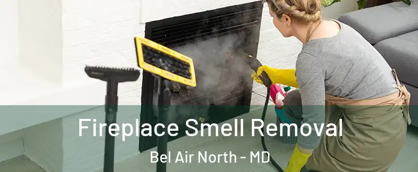  Fireplace Smell Removal Bel Air North - MD