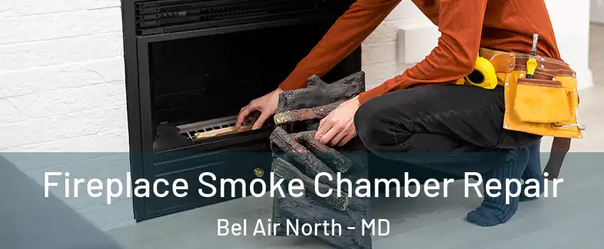  Fireplace Smoke Chamber Repair Bel Air North - MD