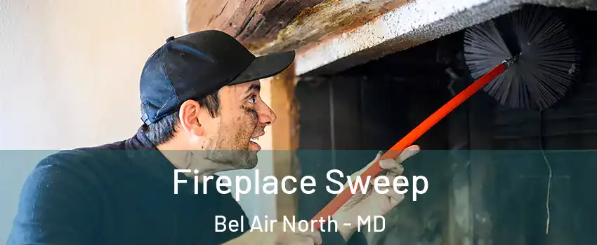  Fireplace Sweep Bel Air North - MD