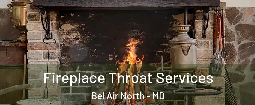  Fireplace Throat Services Bel Air North - MD