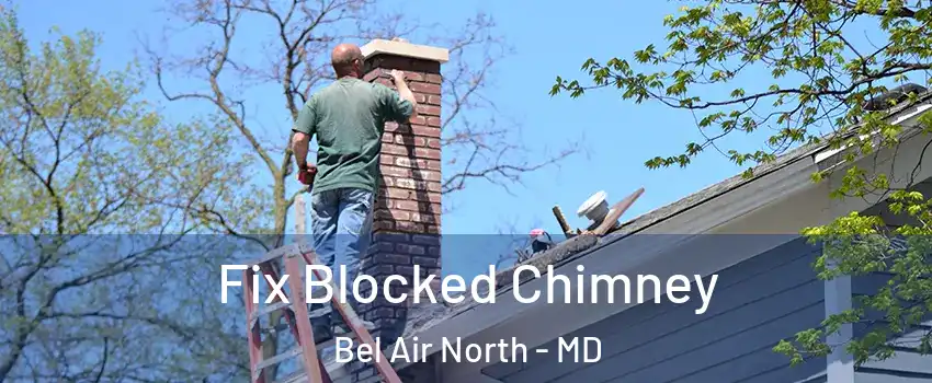  Fix Blocked Chimney Bel Air North - MD