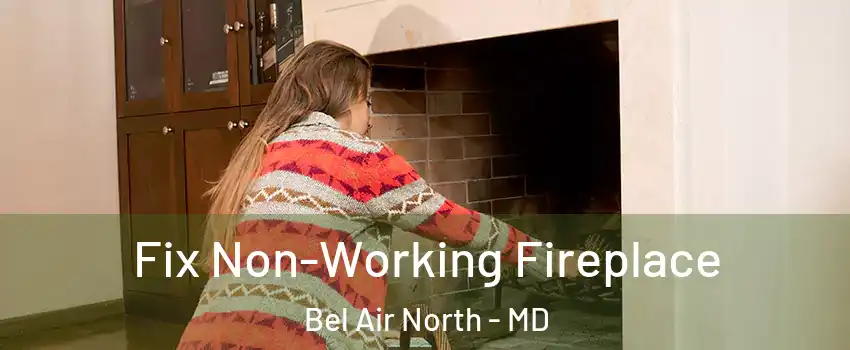  Fix Non-Working Fireplace Bel Air North - MD