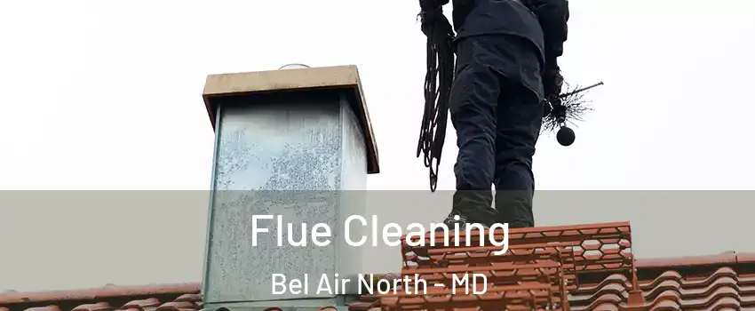  Flue Cleaning Bel Air North - MD