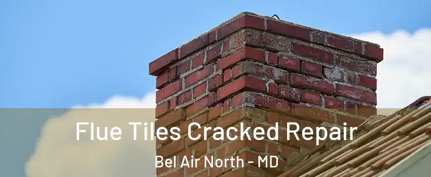  Flue Tiles Cracked Repair Bel Air North - MD