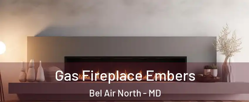  Gas Fireplace Embers Bel Air North - MD
