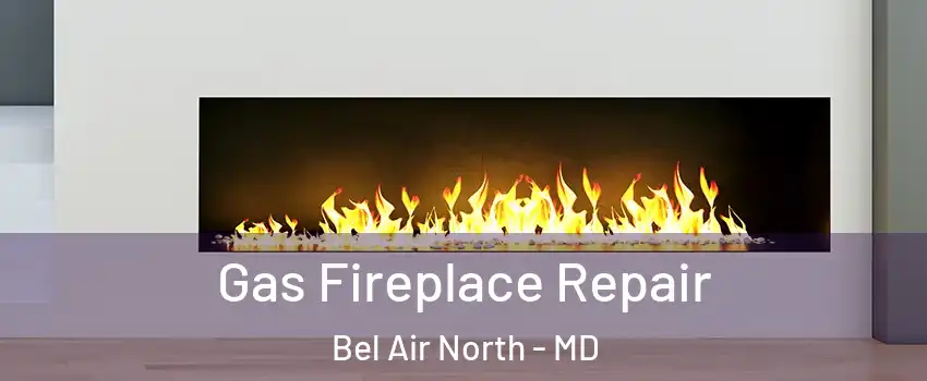  Gas Fireplace Repair Bel Air North - MD