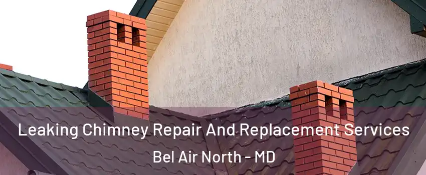  Leaking Chimney Repair And Replacement Services Bel Air North - MD