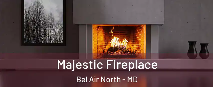  Majestic Fireplace Bel Air North - MD