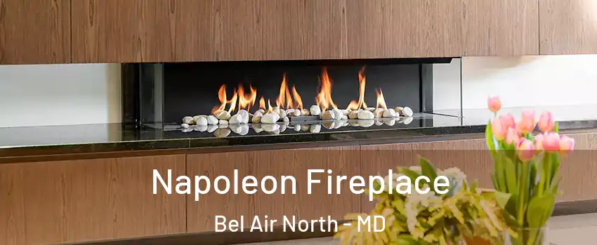  Napoleon Fireplace Bel Air North - MD