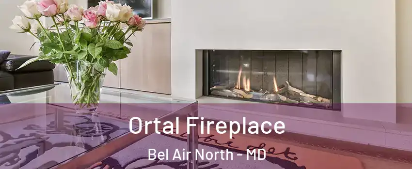  Ortal Fireplace Bel Air North - MD